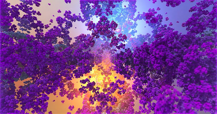 fractal image