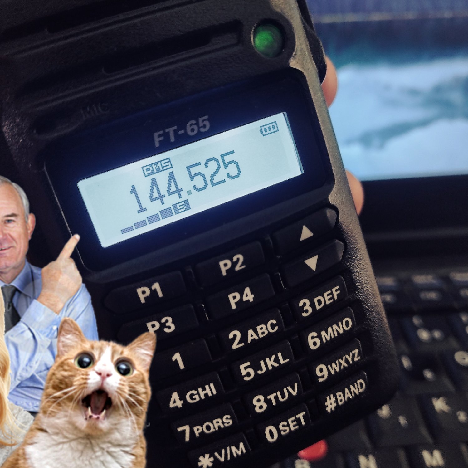 How to Use Programmable Memory Scan (PMS) Mode on the Yaesu FT-65R ...