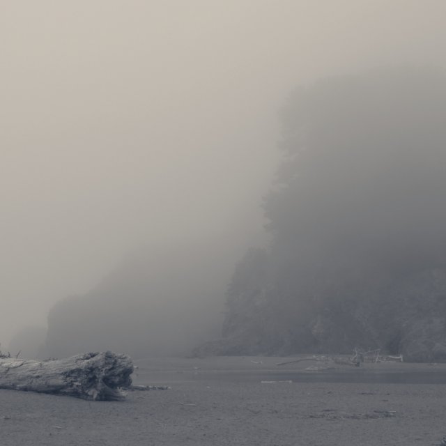 A beach photo.