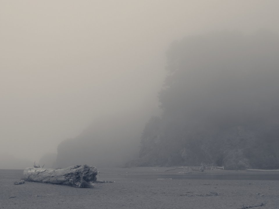 A beach photo.
